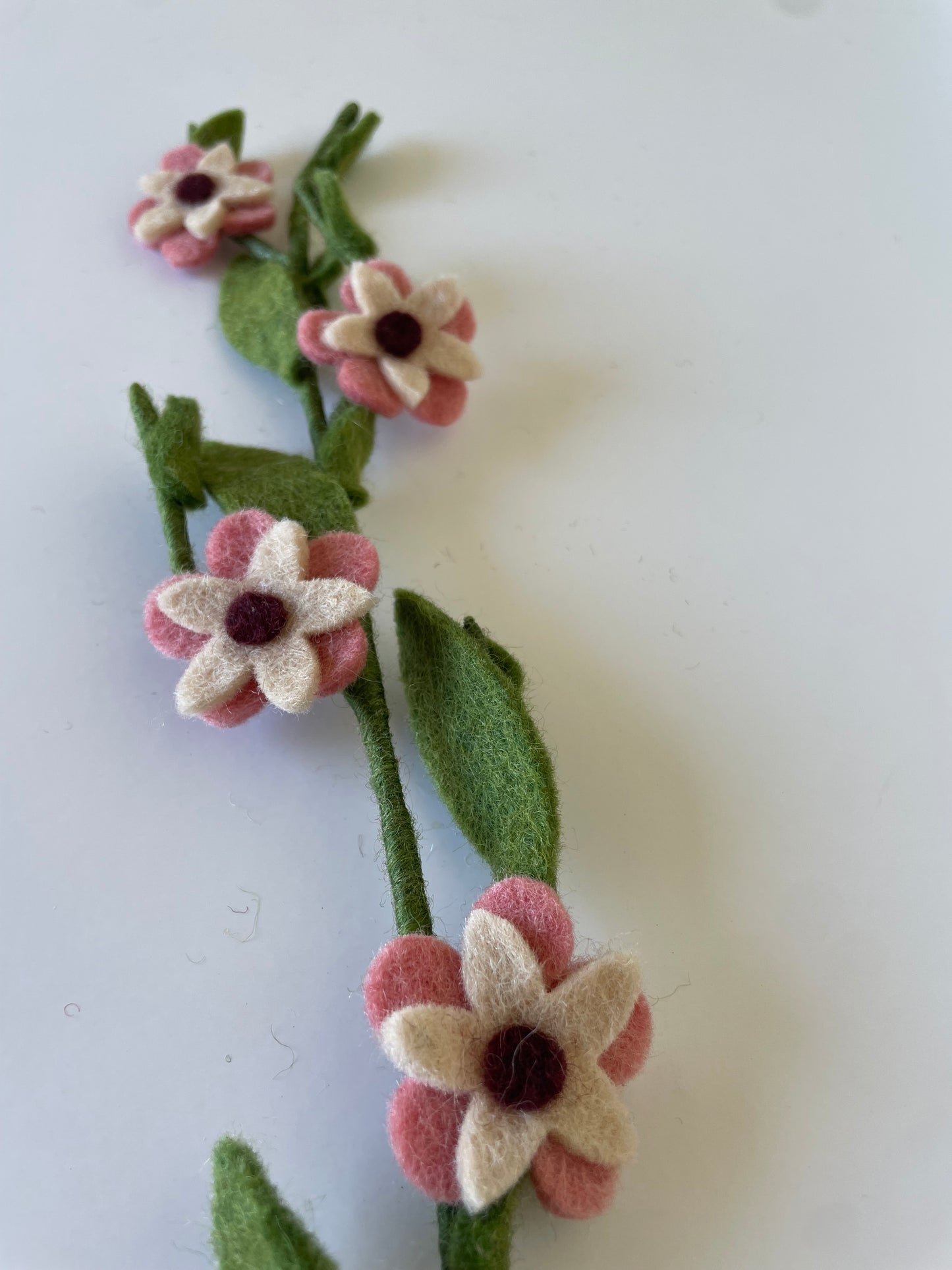 Manuka