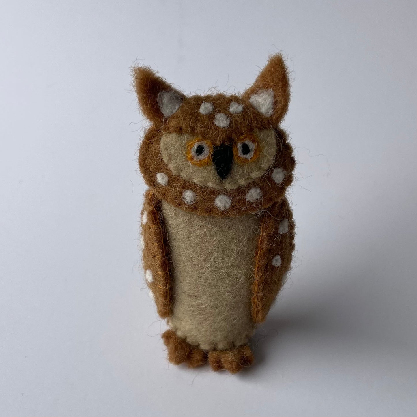 Native New Zealand Birds