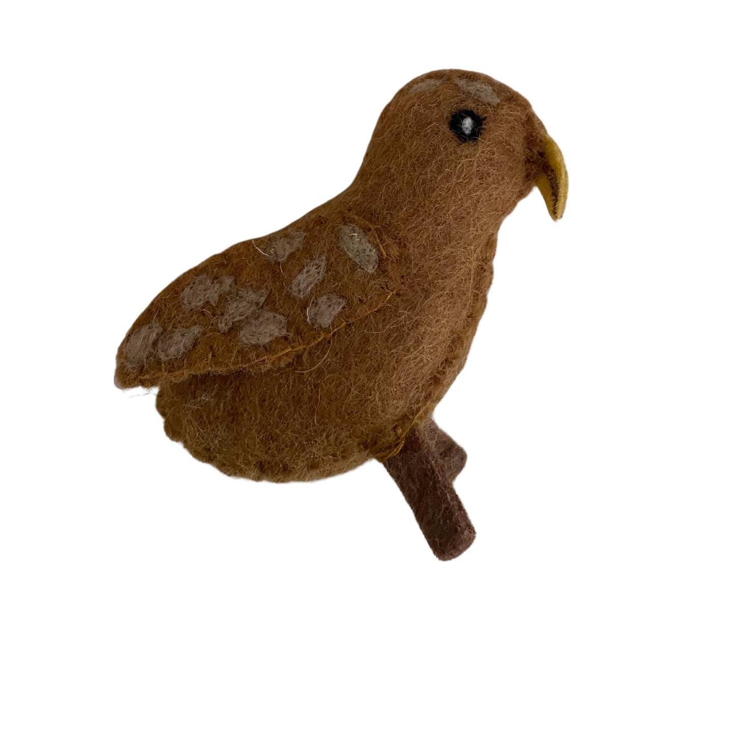 Native New Zealand Birds