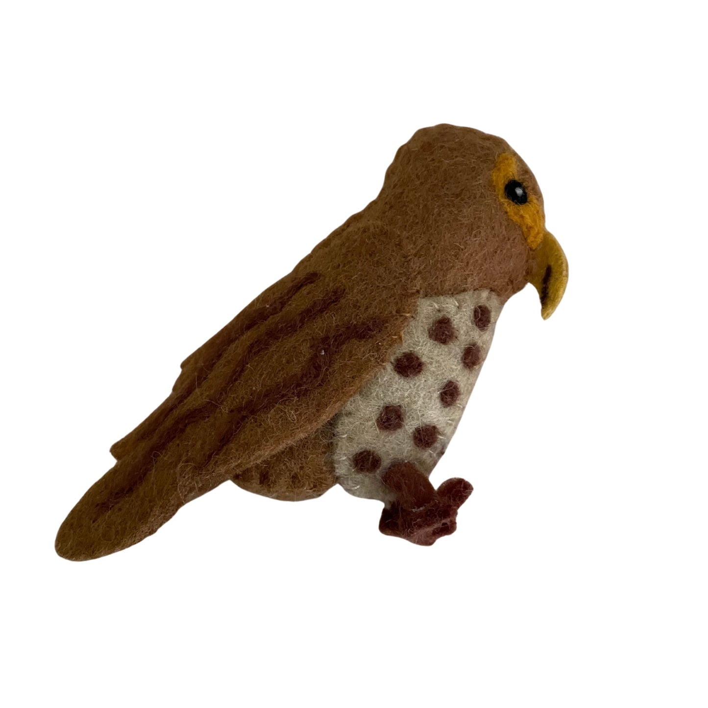 Native New Zealand Birds