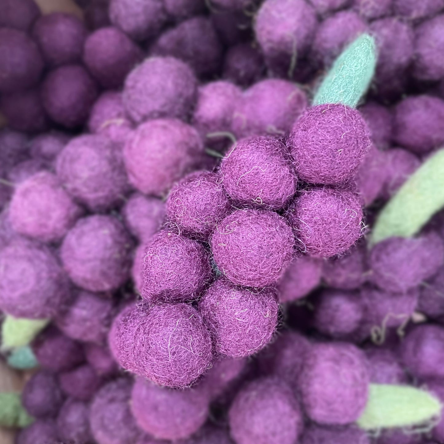 Pick Your Own Fruit and Veggies